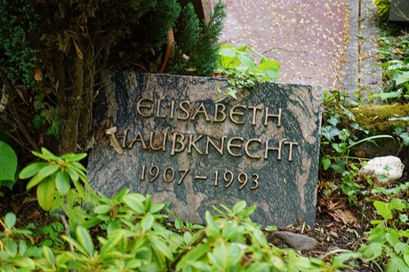Bad Godesberg